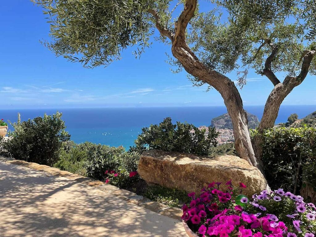 flowers_olive_ocean_boats