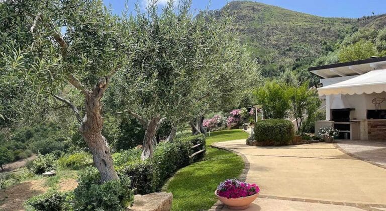 Villa Splendida outdoor BBQ area among olive trees with Mediterranean views Cefalù
